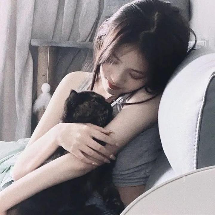 功夫无敌