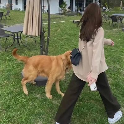 情结